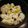 さぁ★たぁ★'s cooksnap of when they made 技たっぷり！失敗しない★栗ごはん★.