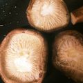 ロンロン草原's cooksnap of when they made 旨味がしみ出す！椎茸のしんなり素焼き.