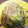 たまごが好き's cooksnap of when they made 甘長唐辛子と胡瓜の南蛮炒め.
