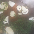 みみ〜こ's cooksnap of when they made 簡単！松茸のお吸い物！.