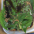 はるみんたった's cooksnap of when they made えごまの葉の醤油漬け.