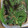 はるみんたった's cooksnap of when they made えごまの葉の醤油漬け.