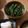dorydory's cooksnap of when they made いんげんのごまあえ.
