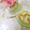 夢夢555's cooksnap of when they made セロリと茗荷のオイル和え☆.