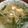 Ｌｅｋｋｅｒ！'s cooksnap of when they made もやしの辛いスープ.