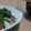 クック77NYH9☆'s cooksnap of when they made 柚子胡椒風味★夏野菜と蒸し鶏の冷製パスタ.