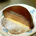 三毛猫ちこ's cooksnap of when they made チョコカスタードプリン＆プチドームケーキ.