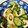 ふとっちょ１号's cooksnap of when they made 簡単！ちくわときゅうりのごま酢の物.