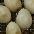 ma___111's cooksnap of when they made 「燻製」うずらタマゴ.