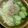 個覧夢's cooksnap of when they made あえるだけ☆キャベツと胡瓜のツナサラダ.