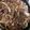 ＊＊桃華＊＊'s cooksnap of when they made おうちで簡単！牛丼.