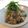 たべたいち's cooksnap of when they made ネギ味噌で鯵のなめろう＆鯵のたたき　.