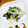 クックLUJX5K☆'s cooksnap of when they made わかめとえのきの和え物.