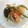 カバゴン's cooksnap of when they made 野菜の煮物　私流.