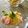 時花菜's cooksnap of when they made 卵＆ハムのせ豆腐.