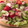 リヨコ's cooksnap of when they made タコのマリネサラダ.