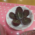 ゆけり３兄弟's cooksnap of when they made 簡単☆手が汚れない巨峰の切り方.