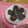 ゆけり３兄弟's cooksnap of when they made 簡単☆手が汚れない巨峰の切り方.