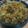 nyha26's cooksnap of when they made 白菜ともやしのあんかけご飯.