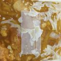 かおぽんぽこりん's cooksnap of when they made 手羽元の冷凍保存方法　下味①.