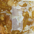 かおぽんぽこりん's cooksnap of when they made 手羽元の冷凍保存方法　下味①.