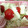 chan_Mio's cooksnap of when they made 塩麹豆腐とトマトのカプレーゼ風.
