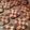 クックXRPD5C☆'s cooksnap of when they made チェッククッキー.