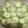 クックTX3AM1☆'s cooksnap of when they made きゅうりの冷凍保存法.
