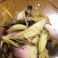 イヴォンヌスキー's cooksnap of when they made ミョウガの保存.