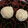 i_yokan's cooksnap of when they made 栗の茶巾絞り風＊.