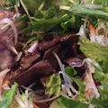 tetsucocco's cooksnap of when they made 豚ハツの甘辛カリカリ♪サラダ.