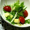 ma___111's cooksnap of when they made 【簡単】水菜とモッツアレラチーズのサラダ.