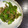★くまた★☆'s cooksnap of when they made ピーマンとしらす炒め.