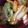 クックYEPDPQ☆'s cooksnap of when they made THE日本の味♪豆腐と白菜の赤味噌汁.