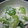 たなか家's cooksnap of when they made そら豆の白和え柚子胡椒風味.
