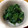 赤蜻蛉's cooksnap of when they made つるむらさきのごまあえ.