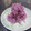 midonta's cooksnap of when they made 今が”旬”「菊花のお浸し」.