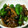食いしん坊♥'s cooksnap of when they made ししとうとぶなしめじのマヨ炒め.