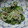 tama2012's cooksnap of when they made 簡単 きゅうりとしらすの酢の物♪.