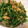 クックV08OCX☆'s cooksnap of when they made いんげんのごま和え☆簡単副菜にお弁当にも.