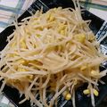 よちりん's cooksnap of when they made すぐできる！もやしのチーズ炒め.