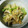 みずたま1616's cooksnap of when they made ダシダで卵とエリンギねぎ炒め.