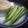 田中リコ's cooksnap of when they made 簡単♪生おくらの味噌マヨディップ♪.