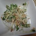 堕天使M's cooksnap of when they made カイワレのおかかマヨぽん(味ぽん使用).