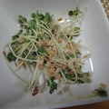 堕天使M's cooksnap of when they made カイワレのおかかマヨぽん(味ぽん使用).