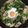 玉ちゃんさえ吉's cooksnap of when they made たけのこパエリア.
