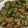 まっしろ白's cooksnap of when they made 中華そぼろ丼〜温たまのせ〜.
