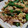 めめぼ's cooksnap of when they made いんげんの玉子とじ.