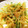 とのとん's cooksnap of when they made 大根の皮と豆苗のキンピラ風♡.