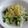 miyuki12's cooksnap of when they made えっ！材料これだけ？新玉葱のドレッシング.